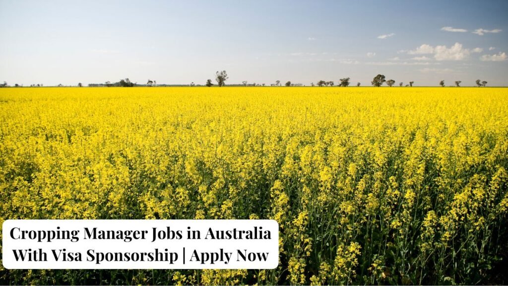 Cropping Manager Jobs in Australia With Visa Sponsorship Apply Now