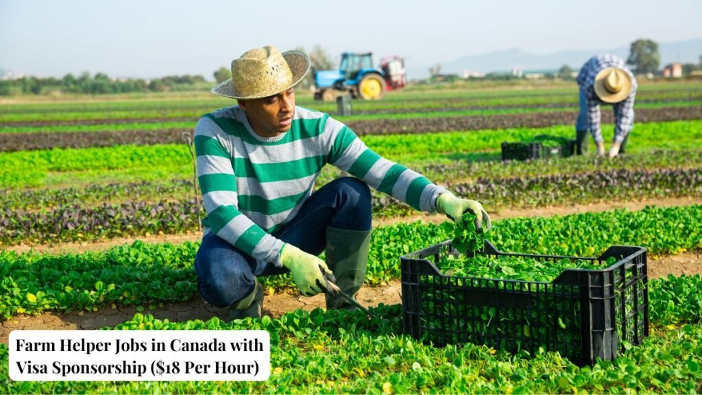 Farm Helper Jobs in Canada with Visa Sponsorship ($18 Per Hour) Apply Now