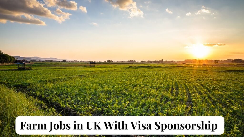 Farm Jobs in UK with Visa Sponsorship Apply Now