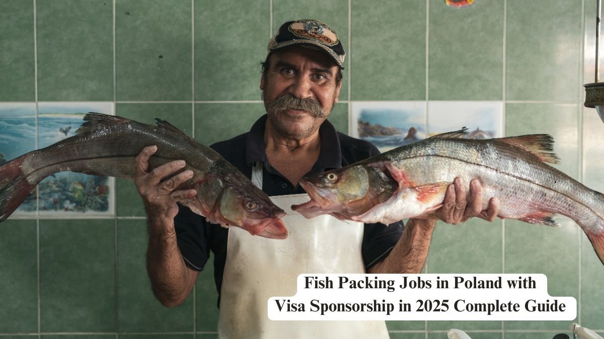 Fish Packing Jobs in Poland with Visa Sponsorship in 2025 Complete Guide