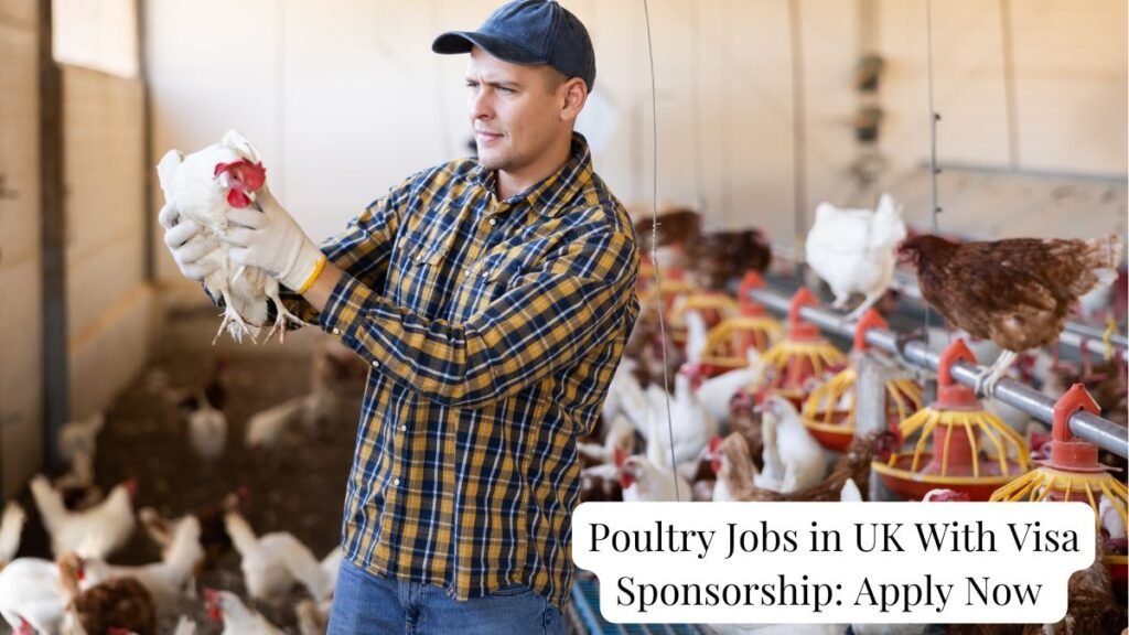 Poultry Jobs in UK With Visa Sponsorship Apply Now
