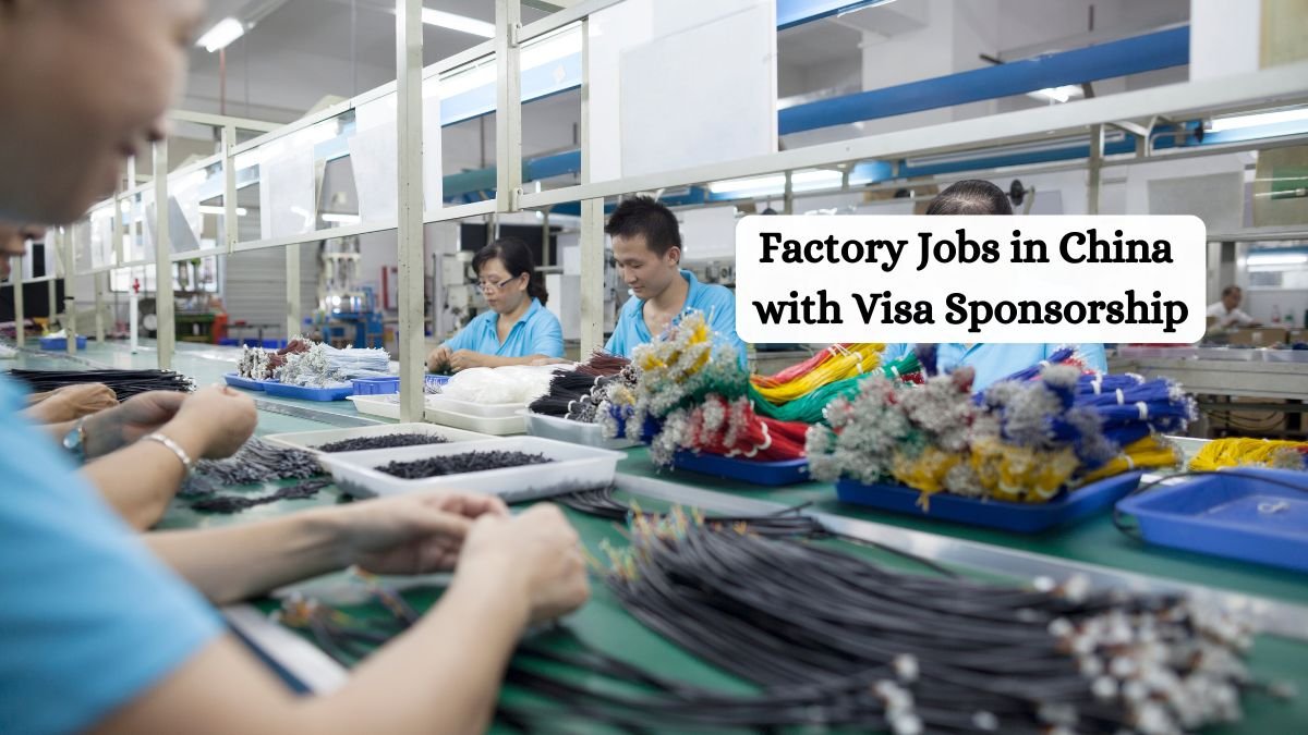 Factory Jobs in China with Visa Sponsorship
