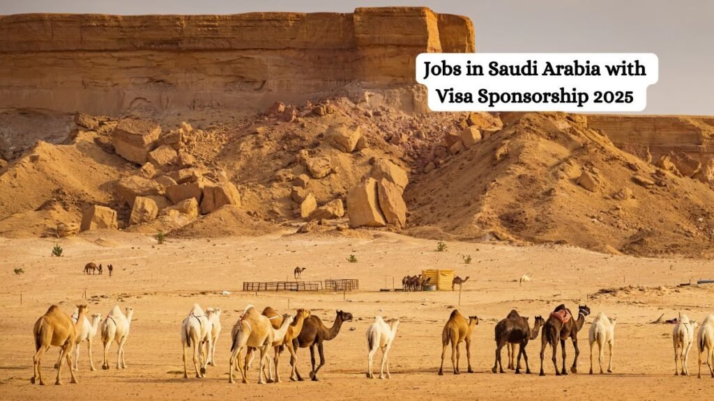 Jobs in Saudi Arabia with Visa Sponsorship 2025