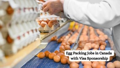 Egg Packing Jobs in Canada with Visa Sponsorship