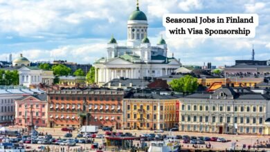 Seasonal Jobs in Finland with Visa Sponsorship