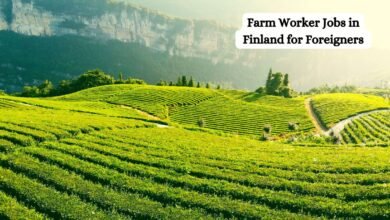 Farm Worker Jobs in Finland for Foreigners in 2025