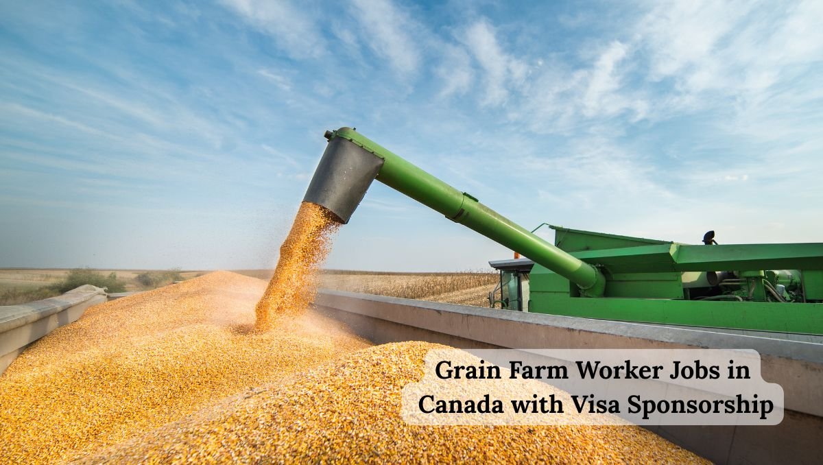 Grain Farm Worker Jobs in Canada with Visa Sponsorship
