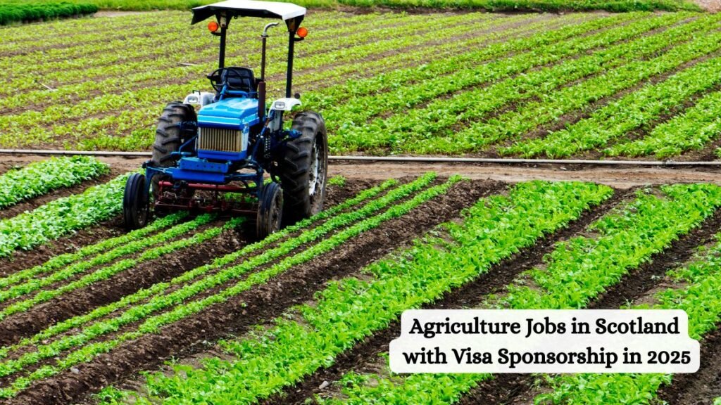 Agriculture Jobs in Scotland with Visa Sponsorship in 2025