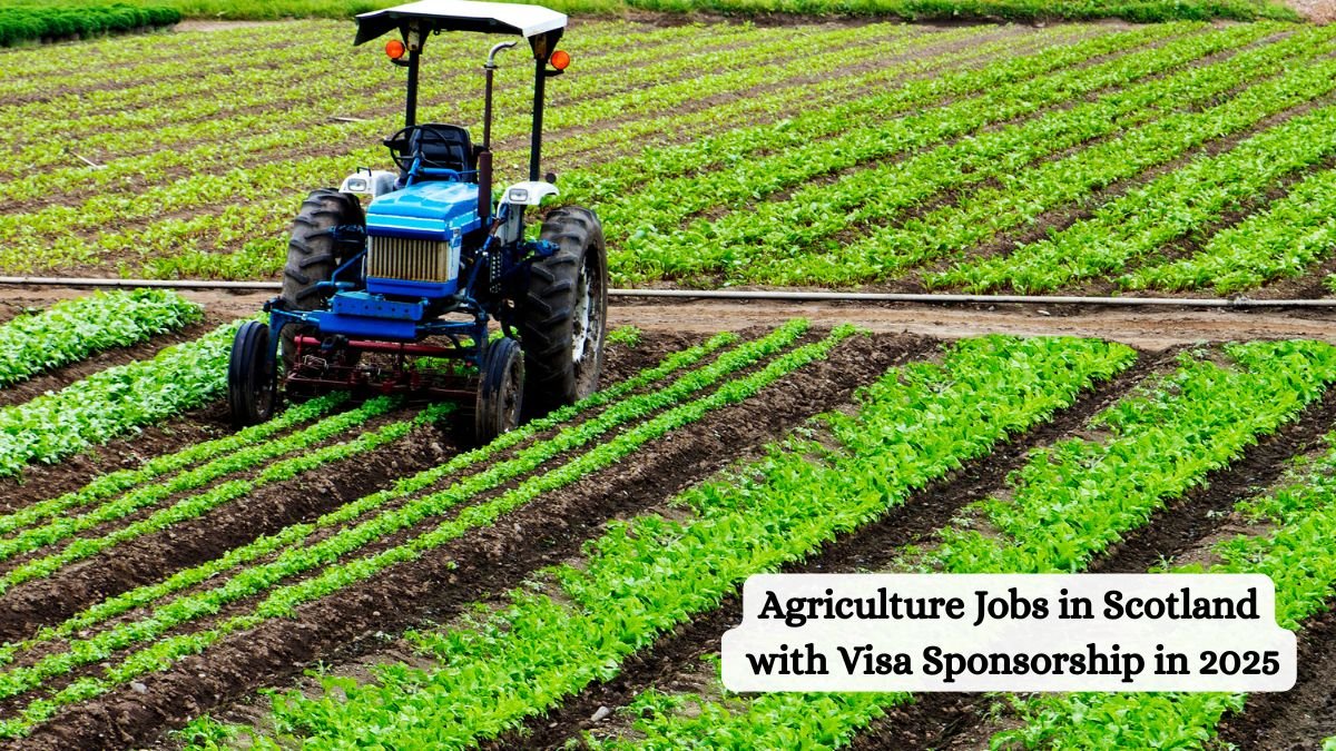 Agriculture Jobs in Scotland with Visa Sponsorship in 2025