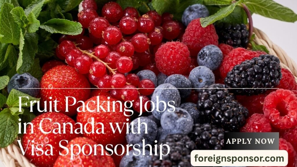 Fruit Packing Jobs in Canada with Visa Sponsorship