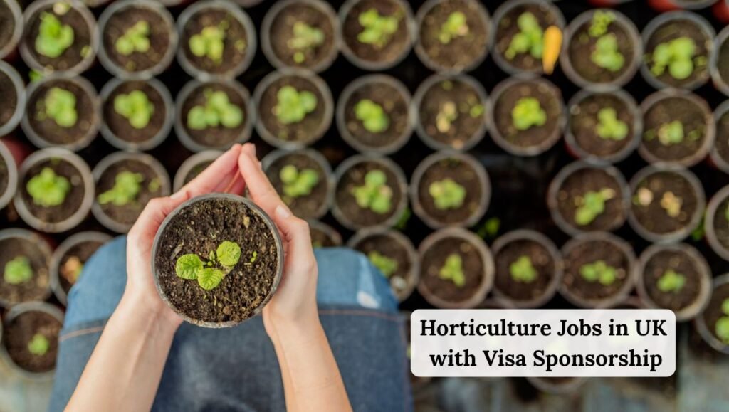 Horticulture Jobs in UK with Visa Sponsorship
