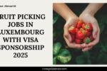 Fruit Picking Jobs in Luxembourg with Visa Sponsorship 2025
