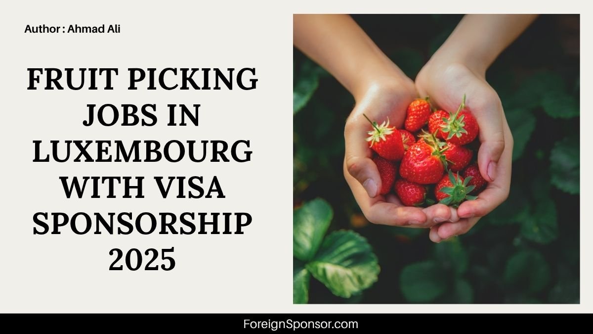 Fruit Picking Jobs in Luxembourg with Visa Sponsorship 2025