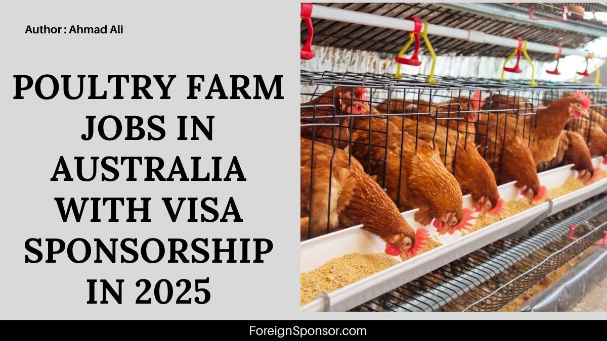 Poultry Farm Jobs in Australia